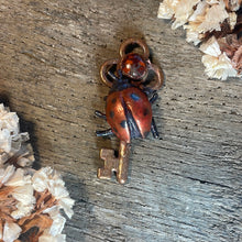 Load image into Gallery viewer, Ladybug Inner Beast Key Pendant with Hematite Jasper

