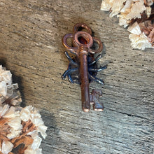 Load image into Gallery viewer, Ladybug Inner Beast Key Pendant with Hematite Jasper
