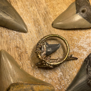 Fossil Shark Tooth with Blue Shark Inner Beast Pendant