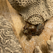 Load image into Gallery viewer, Hermit Crab and Aquamarine Inner Beast Pendant
