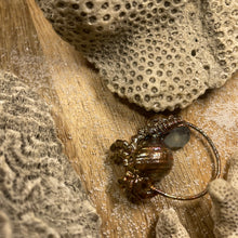 Load image into Gallery viewer, Hermit Crab and Aquamarine Inner Beast Pendant
