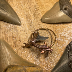 Fossil Shark Tooth with Hammerhead Inner Beast Pendant