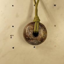 Load image into Gallery viewer, Fossil Dinosaur Gem Bone Hand Carved Big Bead Pendant
