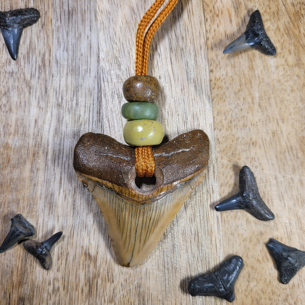 Megalodon Fossil Shark Tooth Drilled Pendant w/ Quant's Jasper, Dinosaur Bone Crown Beads 2