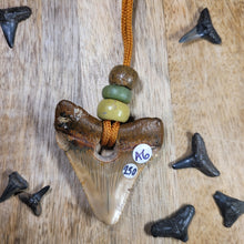 Load image into Gallery viewer, Megalodon Fossil Shark Tooth Drilled Pendant w/ Quant&#39;s Jasper, Dinosaur Bone Crown Beads 2&quot;
